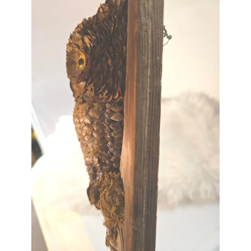 Vintage 1970s‎ Handmade Pine Cone Owl Wood Plaque Rustic MCM Folk Art Wall Decor